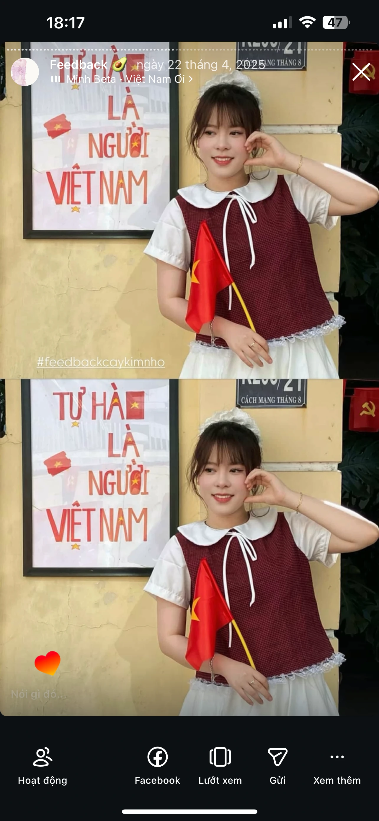 Feedback Cây Kim Nhỏ