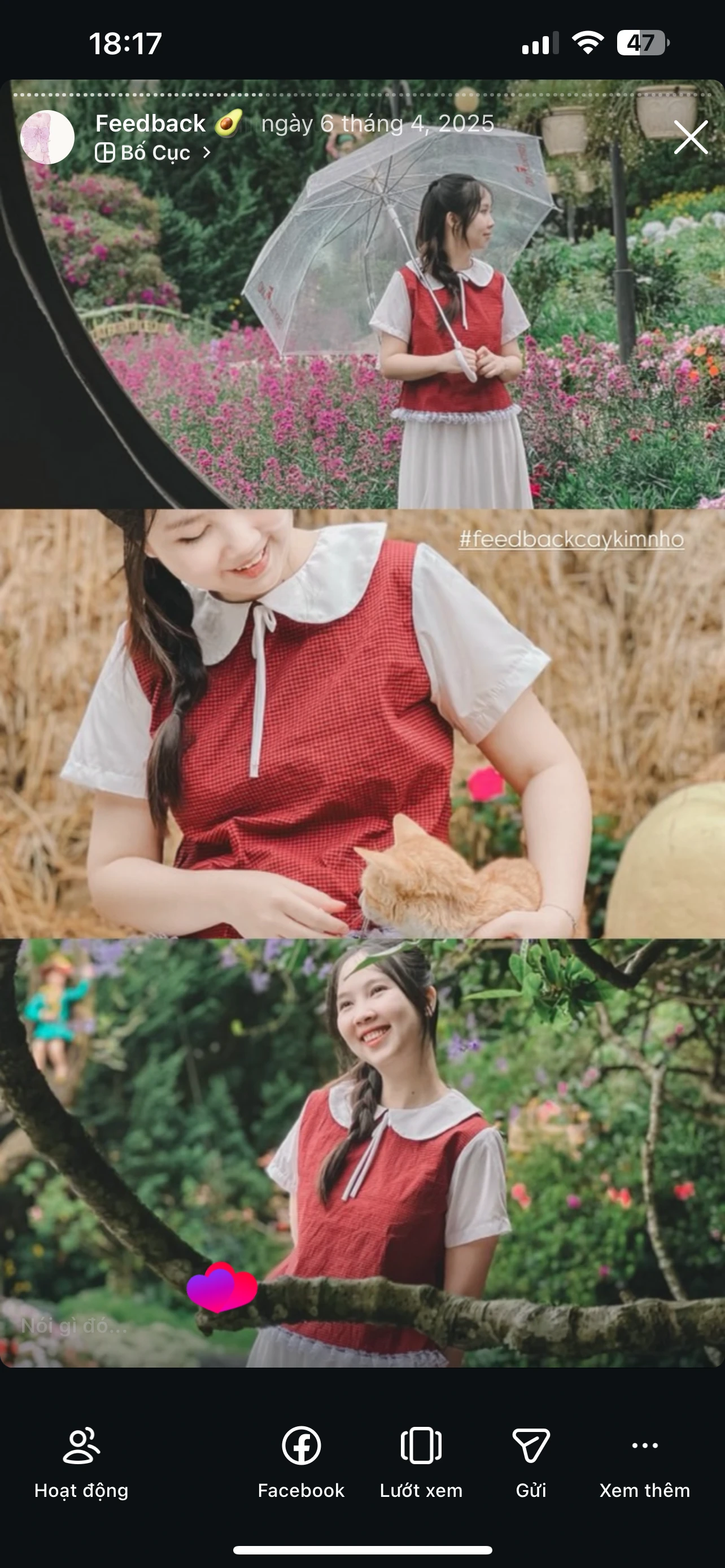 Feedback Cây Kim Nhỏ