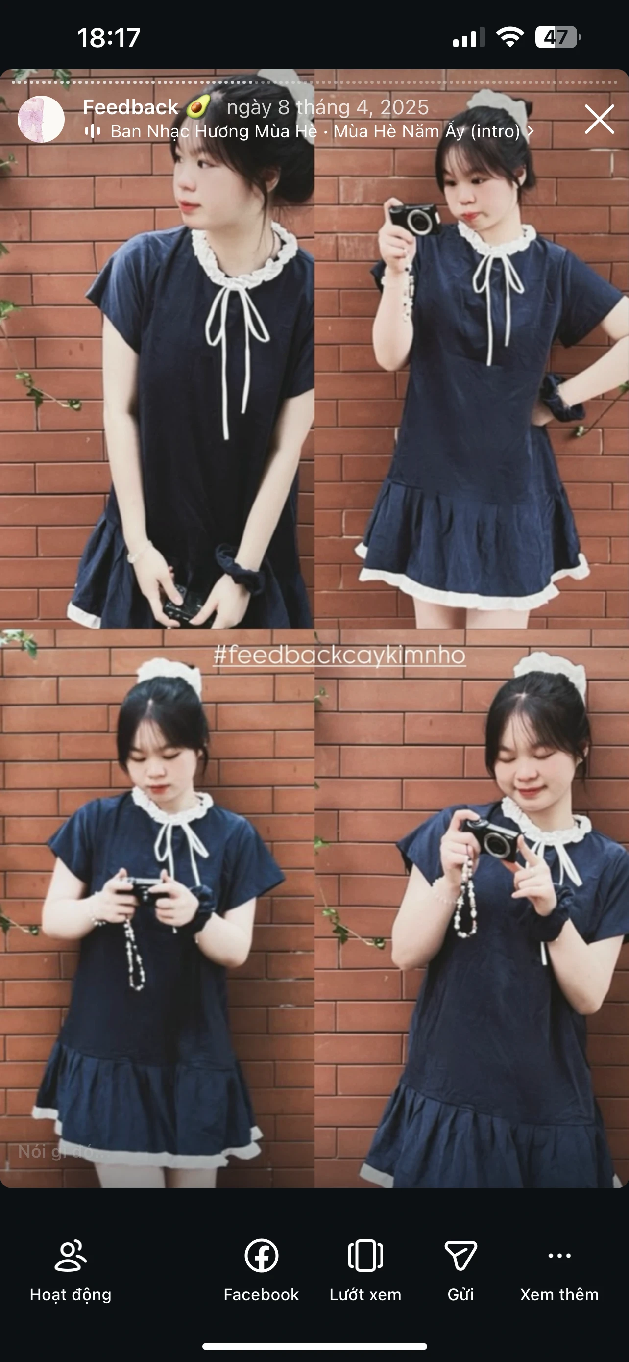 Feedback Cây Kim Nhỏ