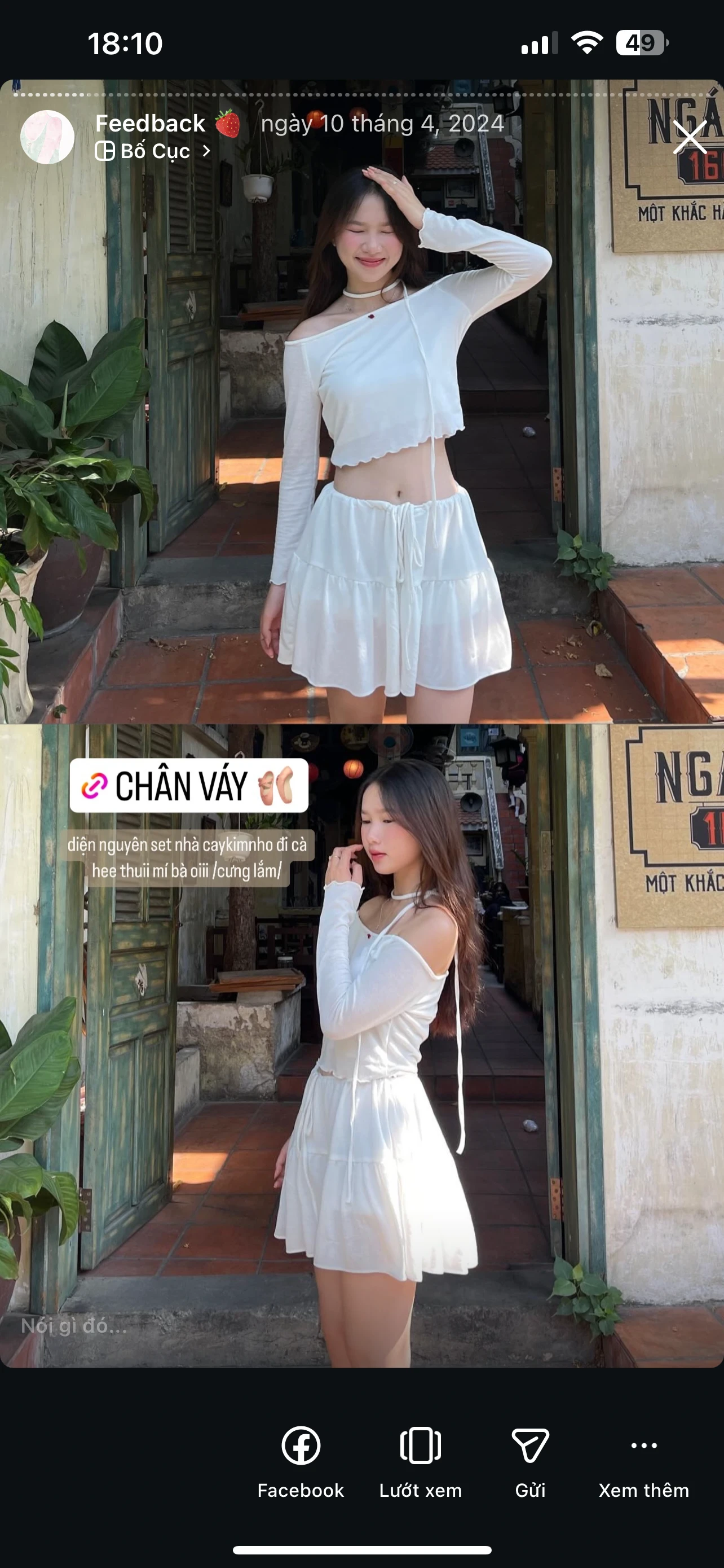 Feedback Cây Kim Nhỏ