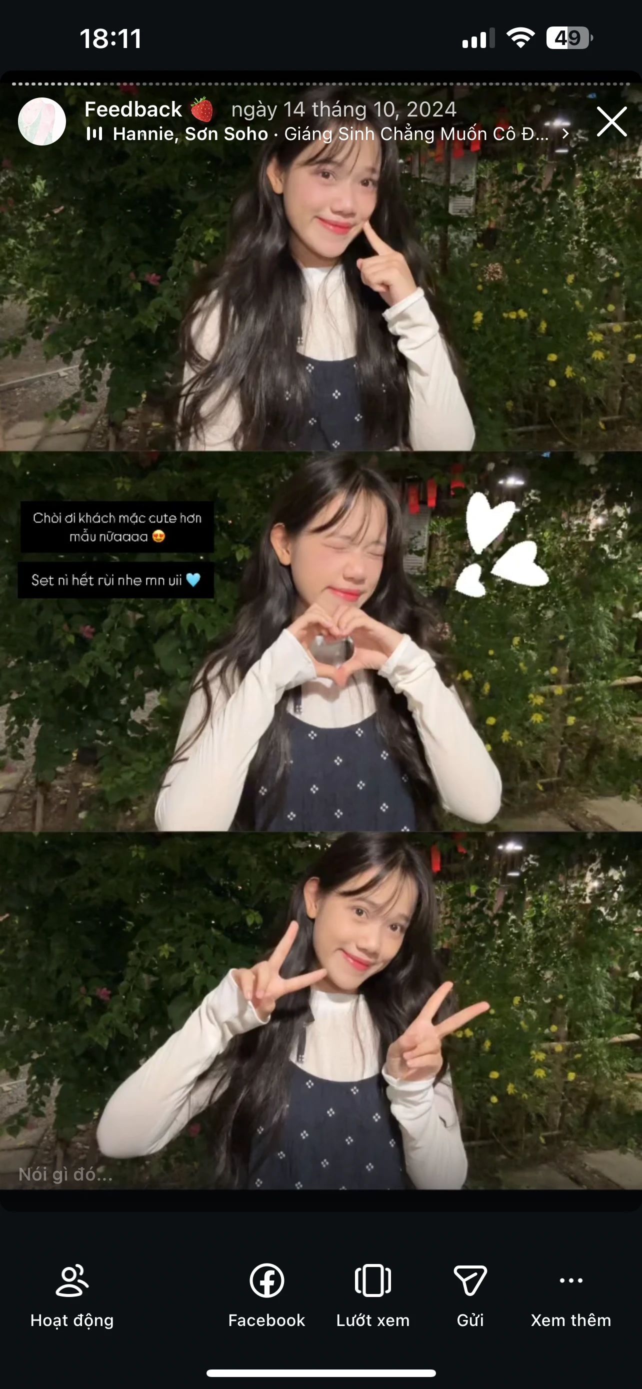 Feedback Cây Kim Nhỏ