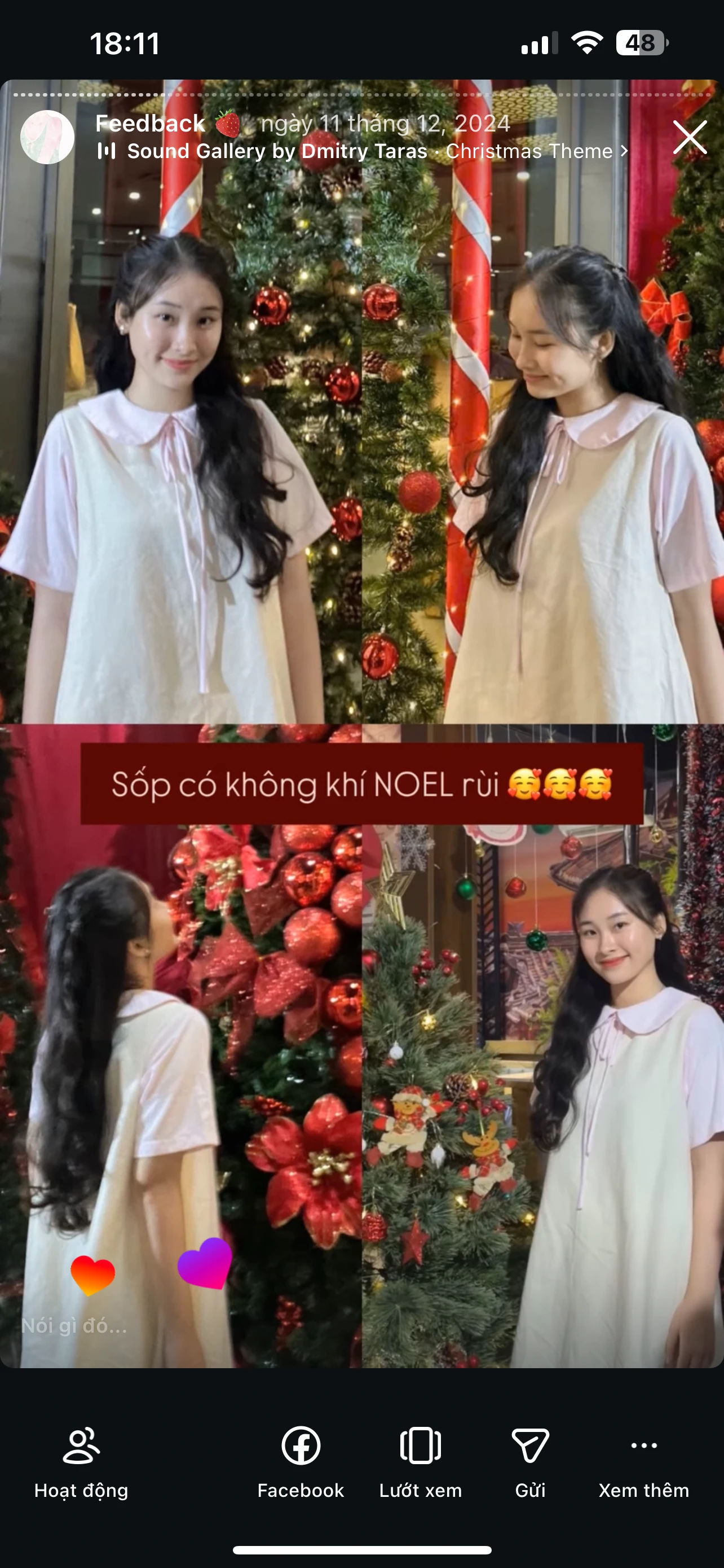 Feedback Cây Kim Nhỏ