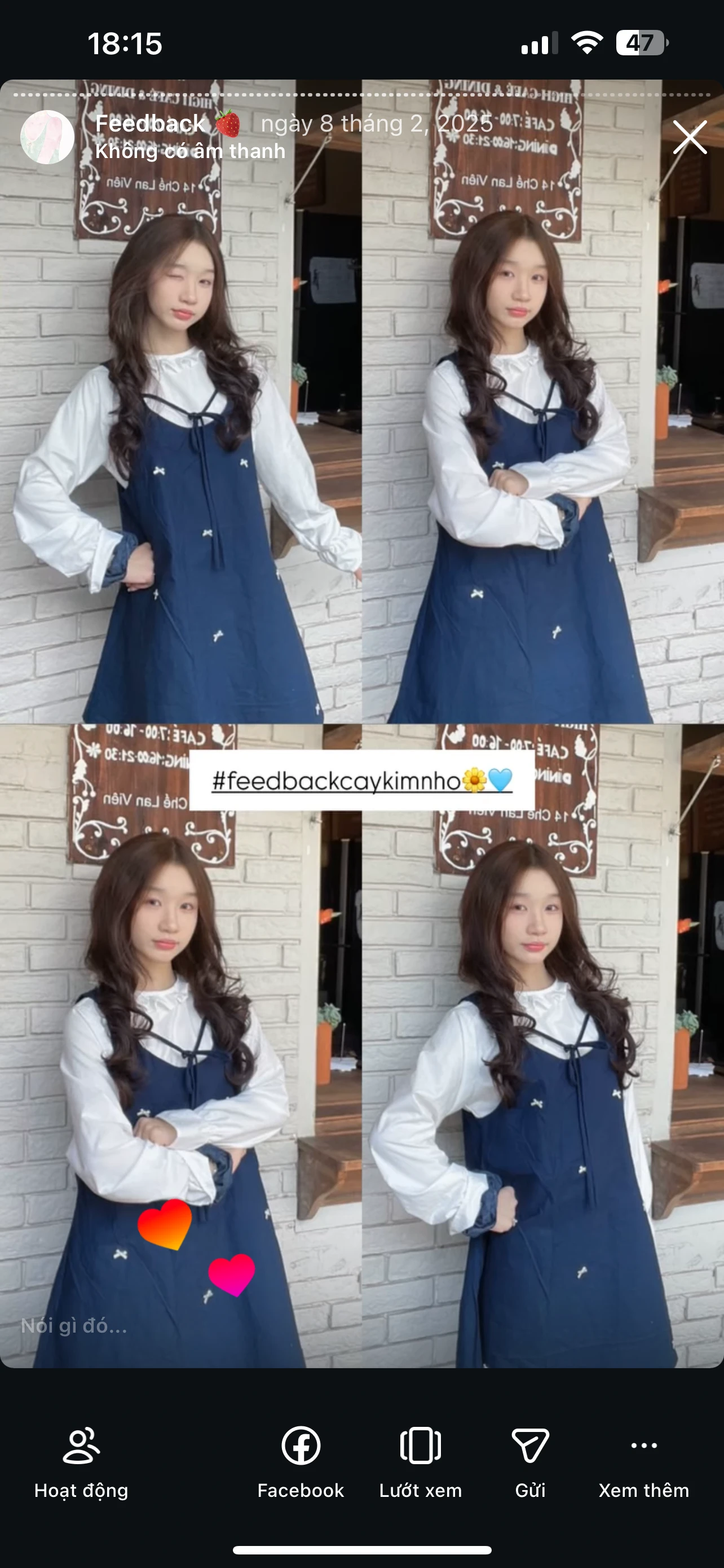 Feedback Cây Kim Nhỏ