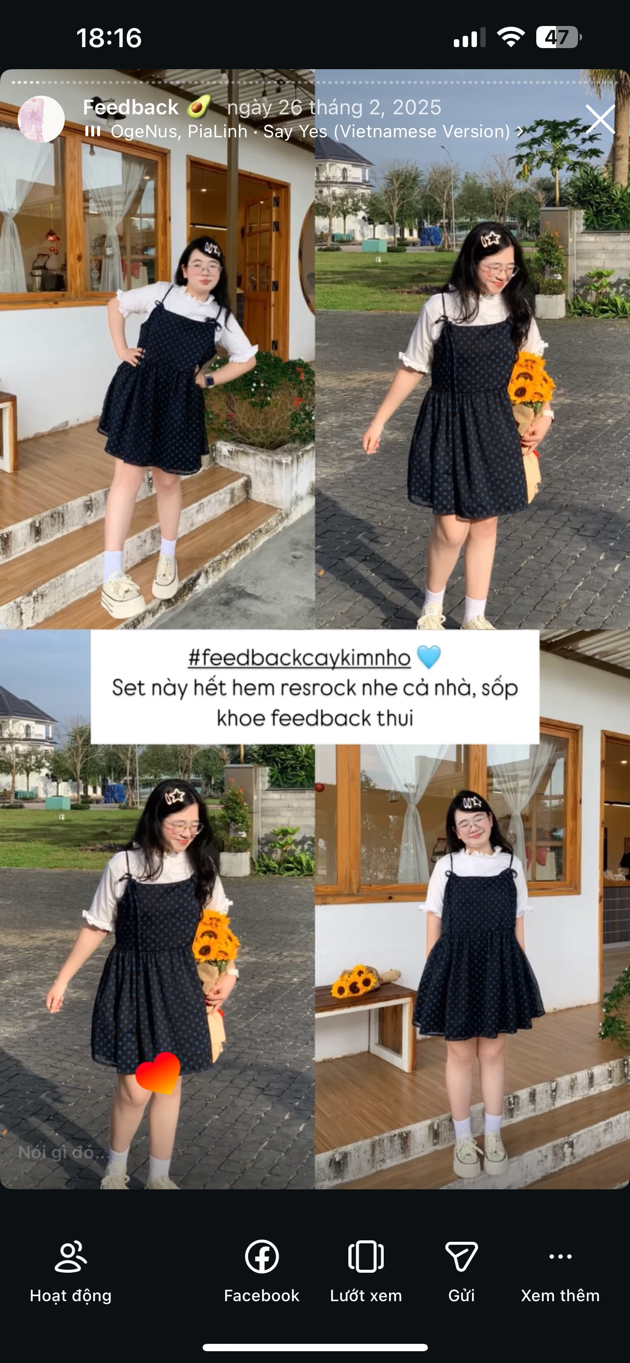 Feedback Cây Kim Nhỏ