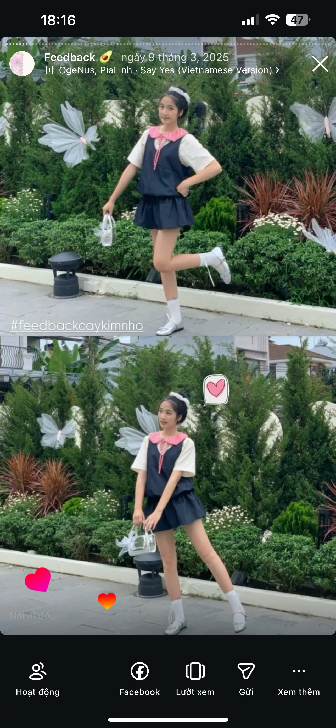 Feedback Cây Kim Nhỏ