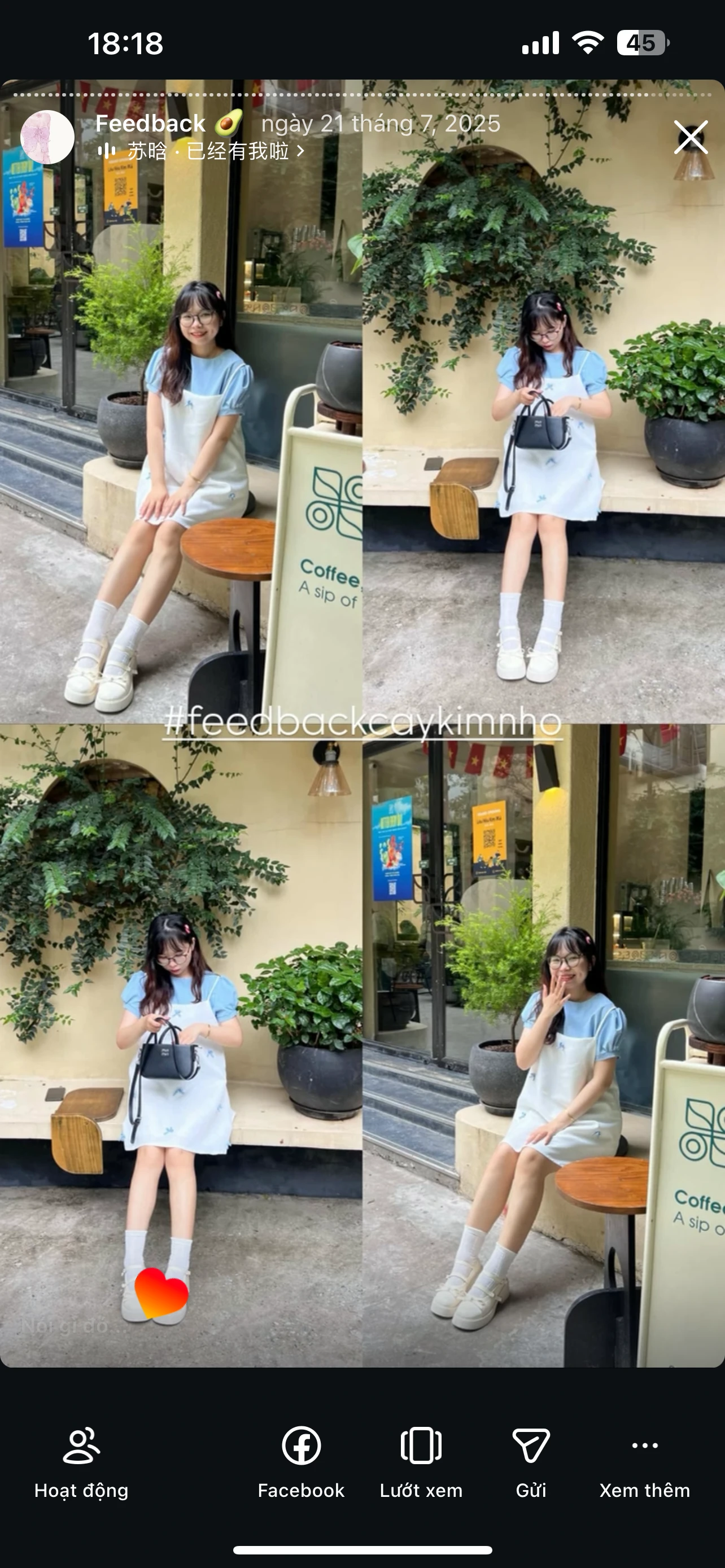 Feedback Cây Kim Nhỏ