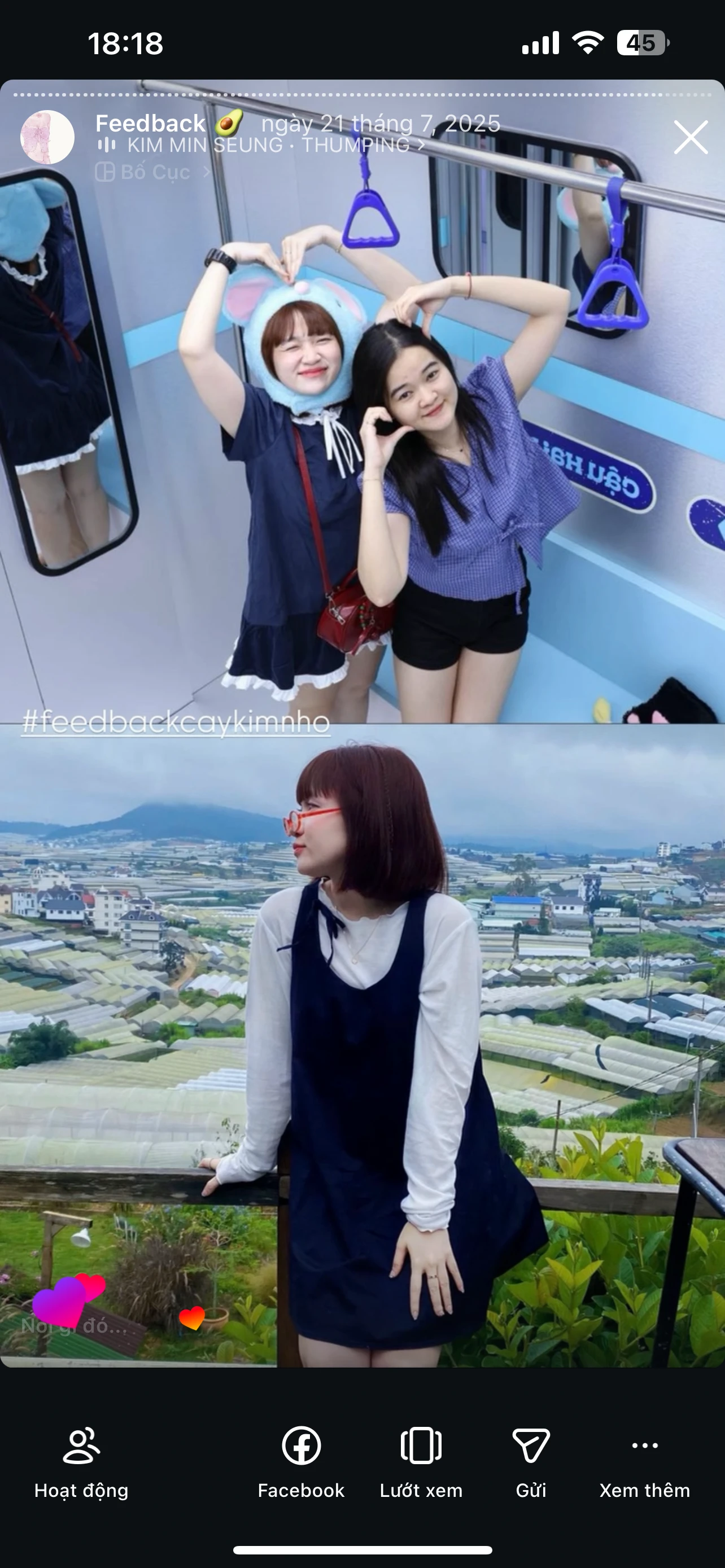 Feedback Cây Kim Nhỏ