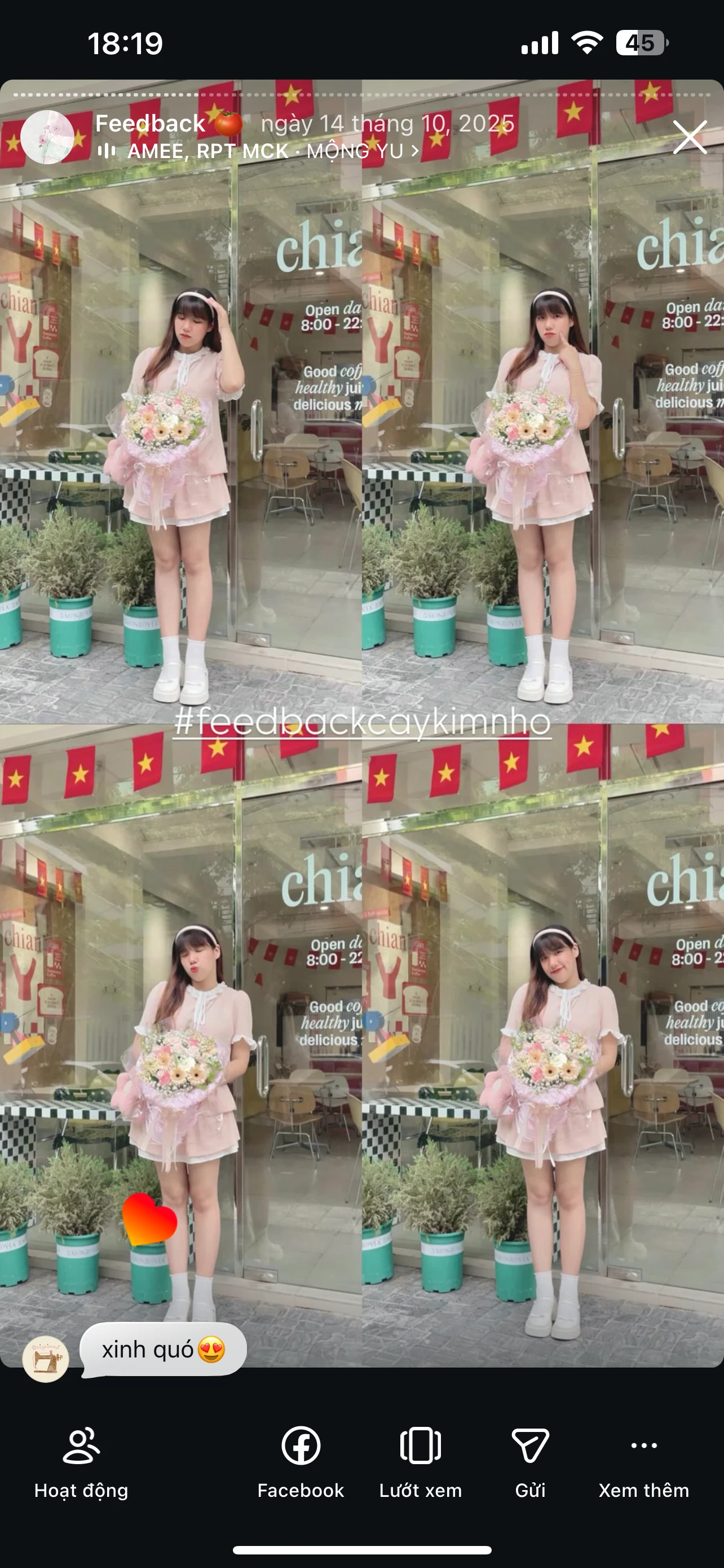 Feedback Cây Kim Nhỏ