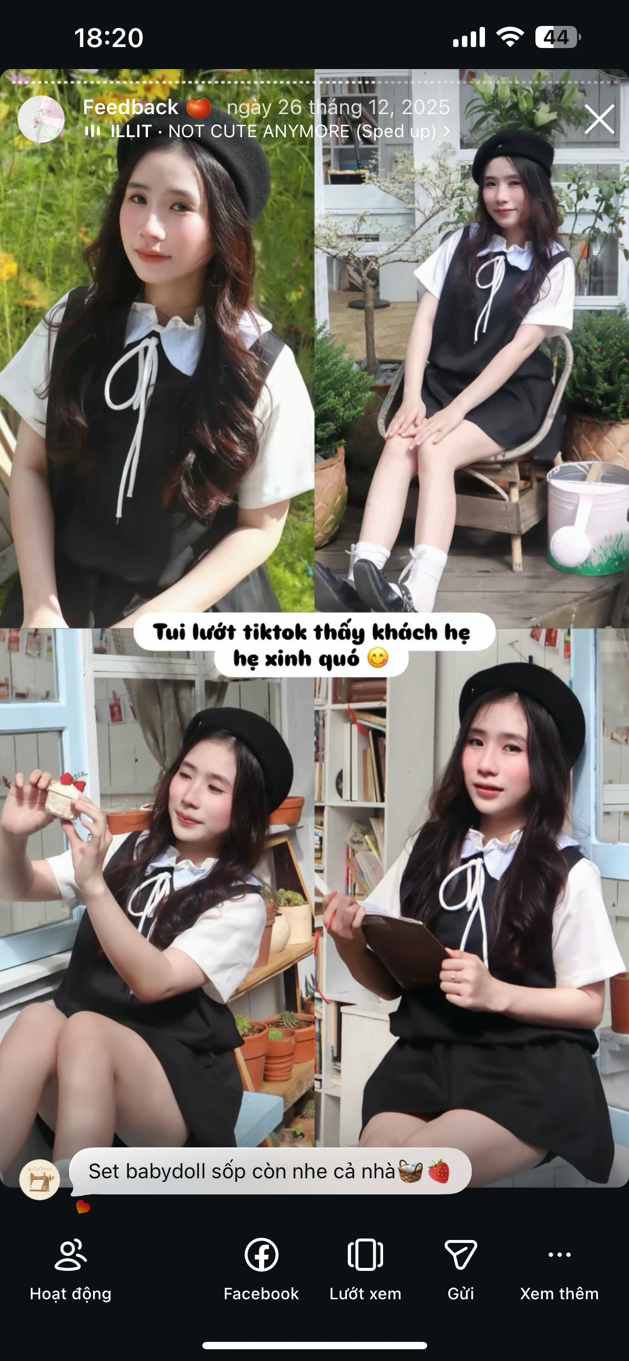 Feedback Cây Kim Nhỏ