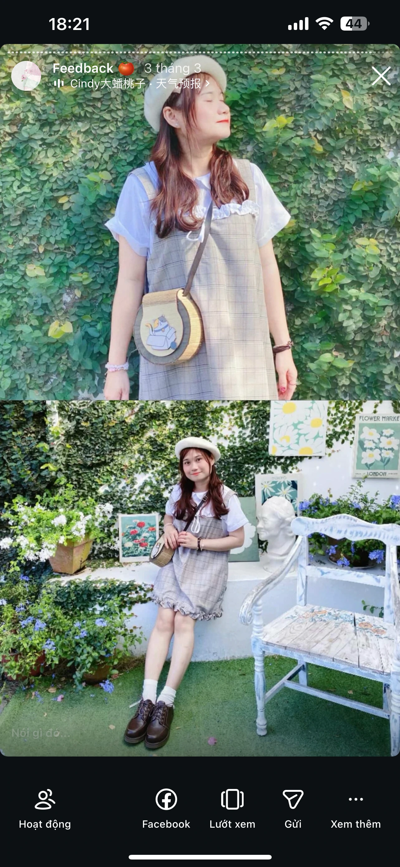 Feedback Cây Kim Nhỏ