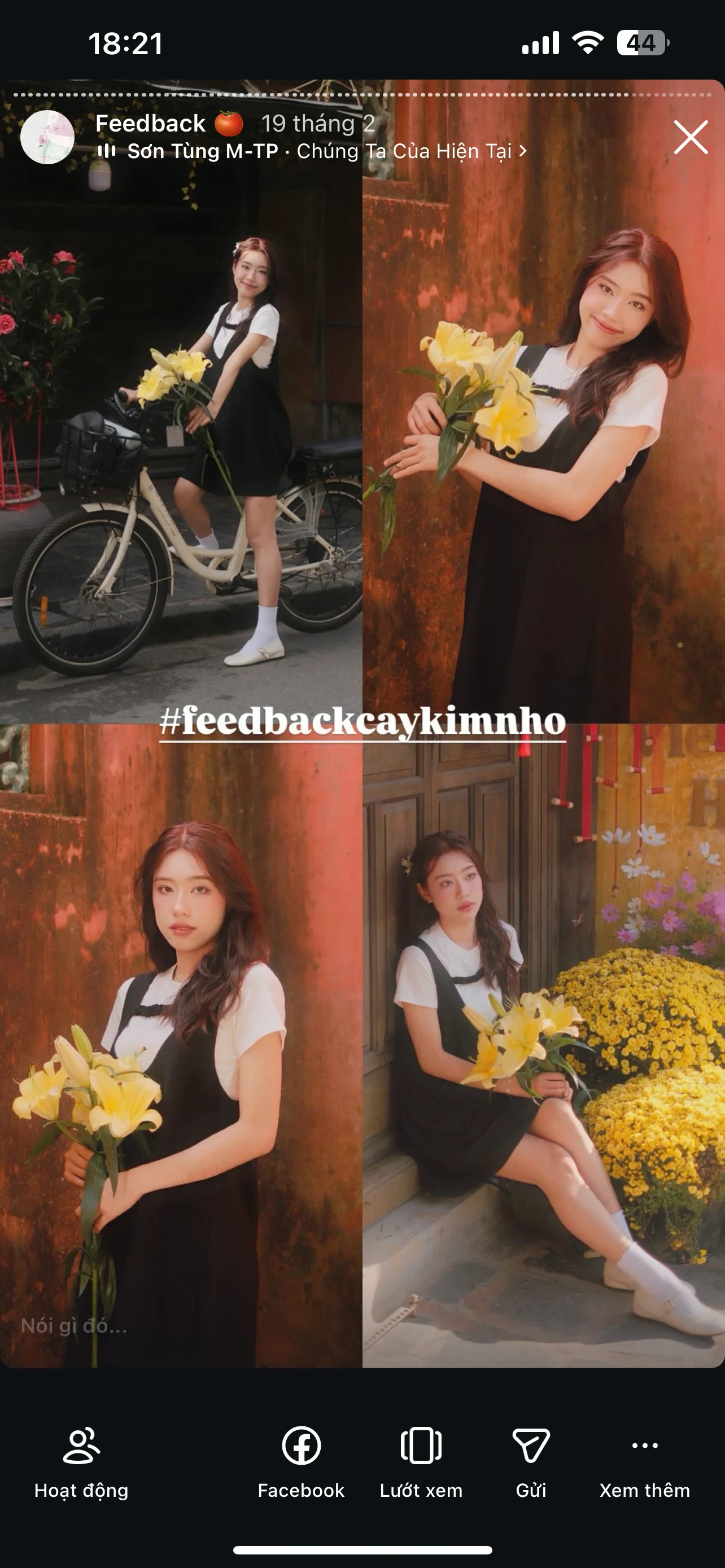 Feedback Cây Kim Nhỏ