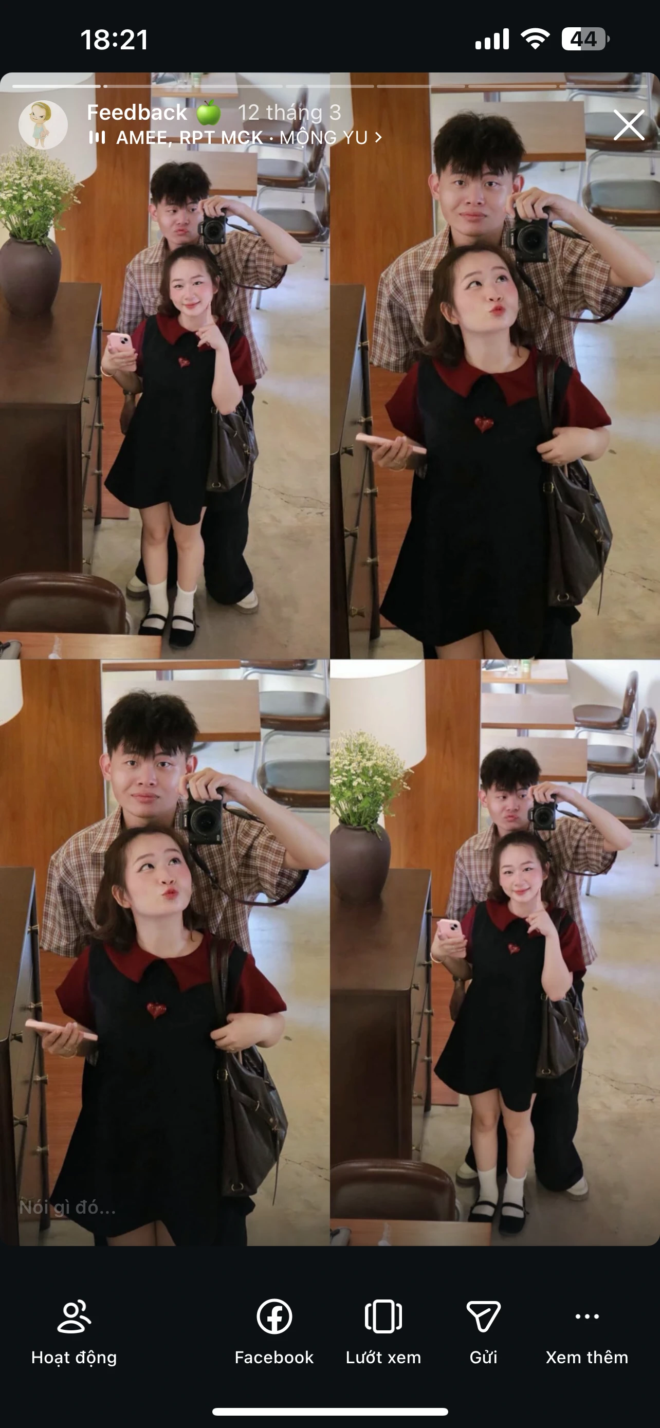 Feedback Cây Kim Nhỏ