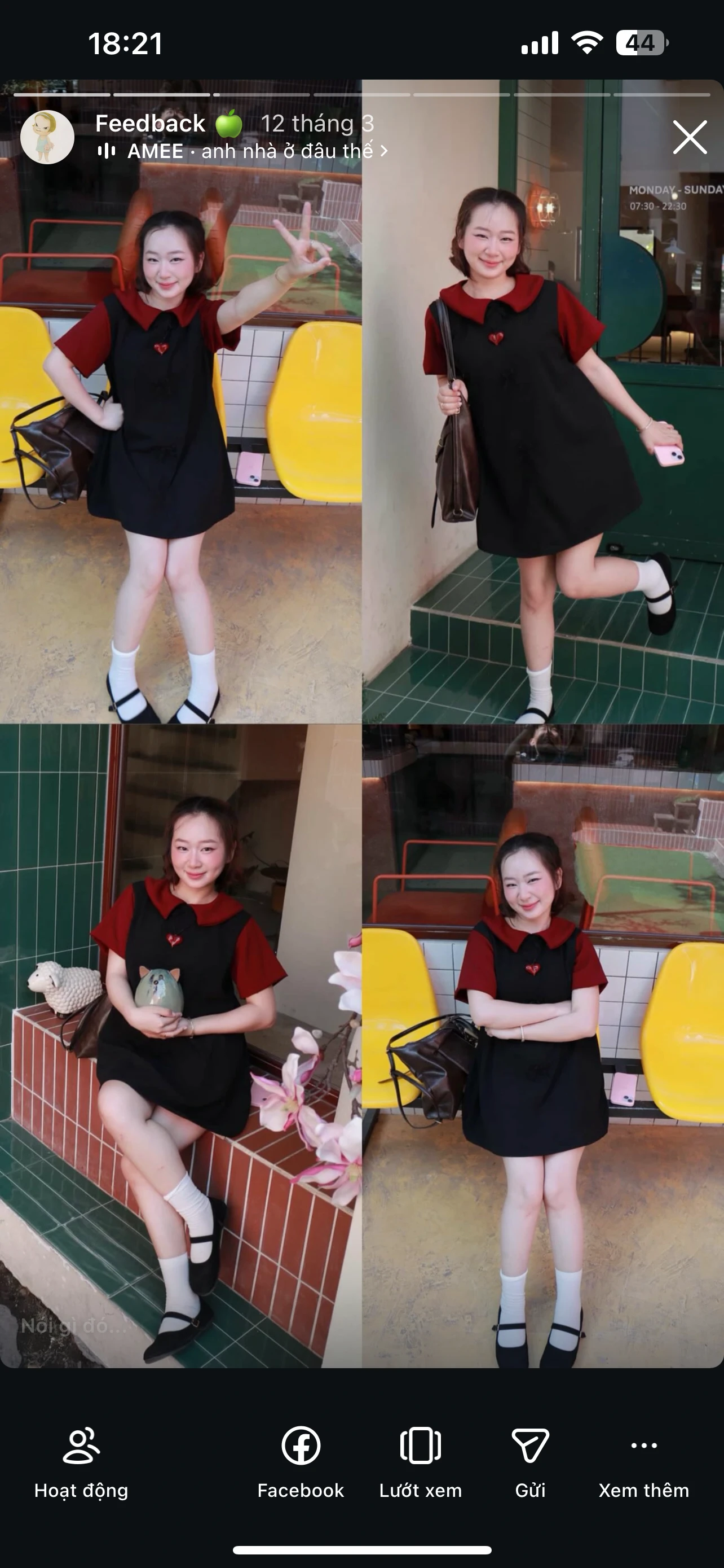 Feedback Cây Kim Nhỏ